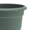Bloem Ariana 5.25 in. H X 6.5 in. W X 6 in. D Plastic Traditional Planter Living Green