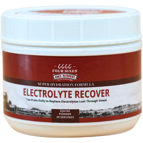 6666 Electrolyte Recover Equine Powder Hydration Supplement 2.6 lb 30 Servings