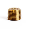 1/8 in. MPT Brass Counter Sunk Plug (Pack of 5)