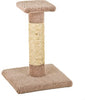 Kitty Cactus With Natural Rope And Top, 18-In.