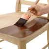 Polyshade.5 Pt Gl Ame Ch (Pack Of 4)