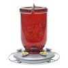 Perky-Pet Hummingbird 32 oz. Glass Nectar Feeder 5 ports (Pack of 2)