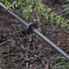 Raindrip Spot Drip Irrigation Mini In-Line 1 gph 25 pk - Deal of The Week