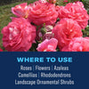 BioAdvanced Shrub Care Shrub Plant Fertilizer 4 lb (Pack of 6)