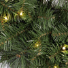 Celebrations Platinum 26 in. D LED Prelit Warm White Mixed Pine Wreath