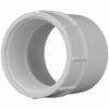 Charlotte Pipe Schedule 40 PVC Pipe Adapter (Pack of 25)