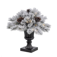 Celebrations 2 ft. Full LED 35 ct Snowy Color Changing Porch Bush