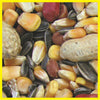 Cole's Critter Munchies Squirrel and Critter Food 20 lb - Deal of The Week