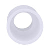 Charlotte Pipe Schedule 40 1 in. Slip X 3/4 in. D FPT PVC Pipe Adapter 1 pk