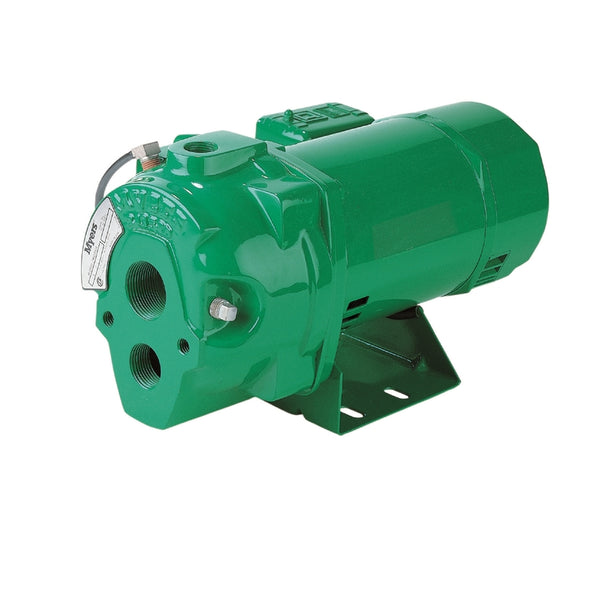 Bomba para pozos profundos de hierro fundido Myers de 1/2 HP y 690 gph