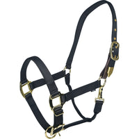 Gatsby Gold Adjustable Safety Breakaway Halter