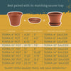 Bloem Terra 8.25 in. H X 7.5 in. W X 10.75 in. D Resin Traditional Planter Terracotta Clay - Deal of The Week