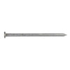 Simpson Strong-Tie 16D 3-1/2 in. Wood Joiner Hot-Dipped Galvanized Steel Nail Round Head 5 lb