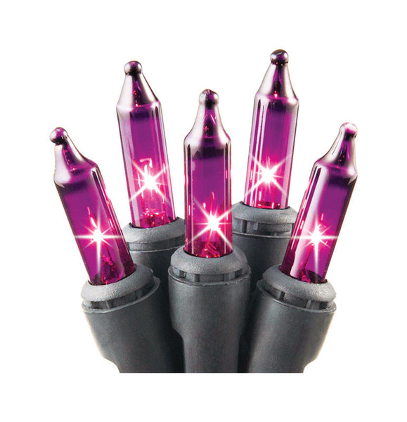 Sienna Mini Light Set Lighted Halloween Decoration (Case of 24)