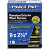 Hillman Power Pro No. 9 X 2-1/4 in. L Star Flat Head Premium Deck Screws 1 lb 113 pk