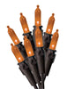 Sienna LED Prelit Traditional Orange Lights