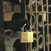 Master Lock 1-1/4 in. H X 5/16 in. W X 1-9/16 in. L Brass 4-Pin Tumbler Exterior Padlock