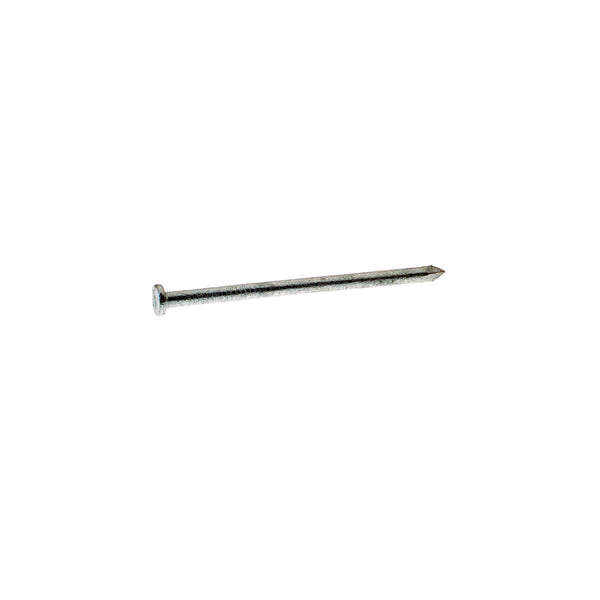 Clavo plano de acero galvanizado en caliente común Grip-Rite 20D de 4 pulg., 1 lb (paquete de 12)