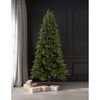 Holiday Bright Lights 9 ft. Full LED 1000 ct Virginia Classic 1-2 Color Changing Christmas Tree