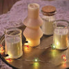 Celebrations LED Micro Dot/Fairy Clear/Warm White 20 ct Novelty Christmas Lights 6.2 ft. (Pack of 12)