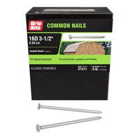 Grip-Rite 16D 3-1/2 in. Common Hot-Dipped Galvanized Steel Nail Countersunk 5 lb. (Pack of 6)