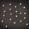 Celebrations LED Micro Dot/Fairy Clear/Warm White 20 ct Novelty Christmas Lights 6.2 ft. (Pack of 12)