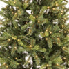Holiday Bright Lights 1-2 Tree 9 ft. Full LED 600 ct Highland Green Spruce Color Changing Christmas