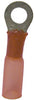 Gardner Bender Xtreme 22-18 Ga. Insulated Wire Ring Terminal Red 3 pk
