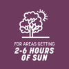 Pennington The Rebels Tall Fescue Grass Partial Shade/Sun Grass Seed 20 lb - Deal of The Week