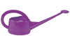 Dramm Assorted 2 L Plastic Watering Can (Pack of 6)