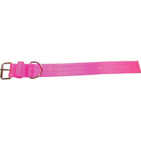 Bravo 2 Ply Nylon Dog Collar