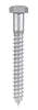 Hillman 1/2 in. X 4 in. L Hex Hot Dipped Galvanized Steel Lag Screw 25 pk