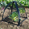 NuVue PestGuard Black Plant Protector 25 in. L x 25 in. W