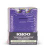 Igloo Ice Pack Assorted 4 pk (Pack of 4)