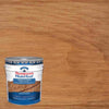 Thompson's WaterSeal Transparent Chestnut Brown Waterproofing Wood Stain and Sealer 5 gal