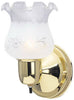 Westinghouse 1-Light Polished Brass Wall Sconce