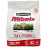 Pennington The Rebels Tall Fescue Grass Sun or Shade Grass Seed 3 lb