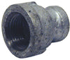 STZ Industries 1/2 in. FIP each X 1/8 in. D FIP Galvanized Malleable Iron Reducing Coupling