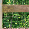 Garden Craft 48 in. H X 50 ft. L Steel Fencing 2 x 3 in.