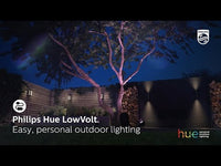 Foco LED inteligente de bajo voltaje y 8 W de Philips Hue en negro mate, paquete de 1