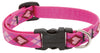 Lupine Collars & Leads 14235 1/2" X 10-16" Designer Dog Collar