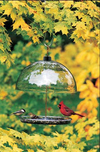 Droll Yankees Cardinal Feeder 13 In. Dia Yellow