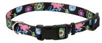 Dog Collar, Adjustable, Wildflower, Nylon, 1 x 18-26-In.