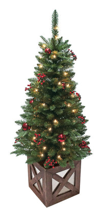 Celebrations  4 ft. Clear  Prelit Marbleton  Porch Tree  50 lights