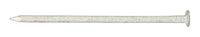 Pro-Fit 4D 1-1/2 in. Box Hot-Dipped Galvanized Steel Nail Flat Head 50 lb