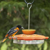 Audubon 8-Ports & 4-Built-In Stations Dishwater Safe Classic Oriole Feeder 12 oz. Nectar Capacity