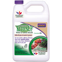 Bonide KleenUp Grass & Weed Killer Concentrate 1 gal (Pack of 4)