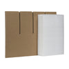 Duck 16 in. W X 12 ft. L Glass Protection Kit
