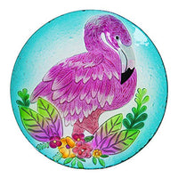 BIRDBATH SUCCULENT