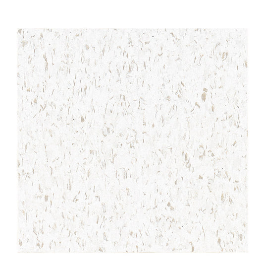 Armstrong 12 in. W X 12 in. L Standard Excelon Imperial Texture Cool White Vinyl Floor Tile 45 sq ft